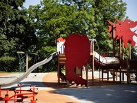 Slide 5